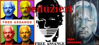 Hoody mit Aufdruck Free Assange
