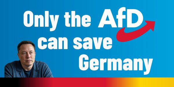 Banner Musk AfD Deutschland retten